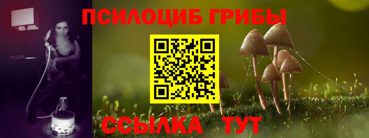 Ливны  Галлюциногенные грибы мухоморы  Галлюциногенные грибы Magic Shrooms  Вход с VPN 